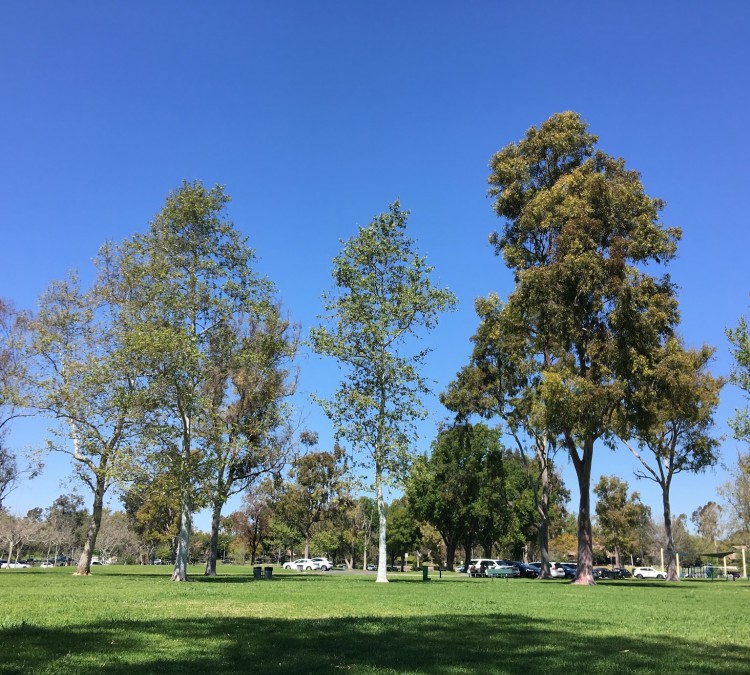 William R Mason Regional Park (Irvine,&nbspCA)